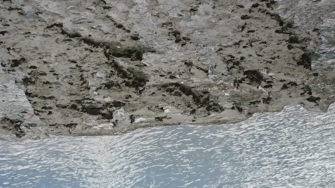 DSC_0722